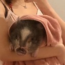 作者名称