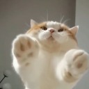 作者名称