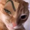 作者名称