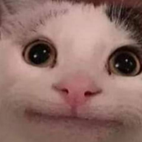 作者名称