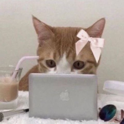作者名称