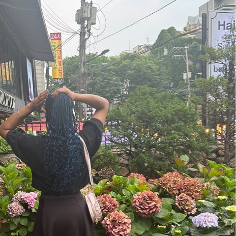 作者名称