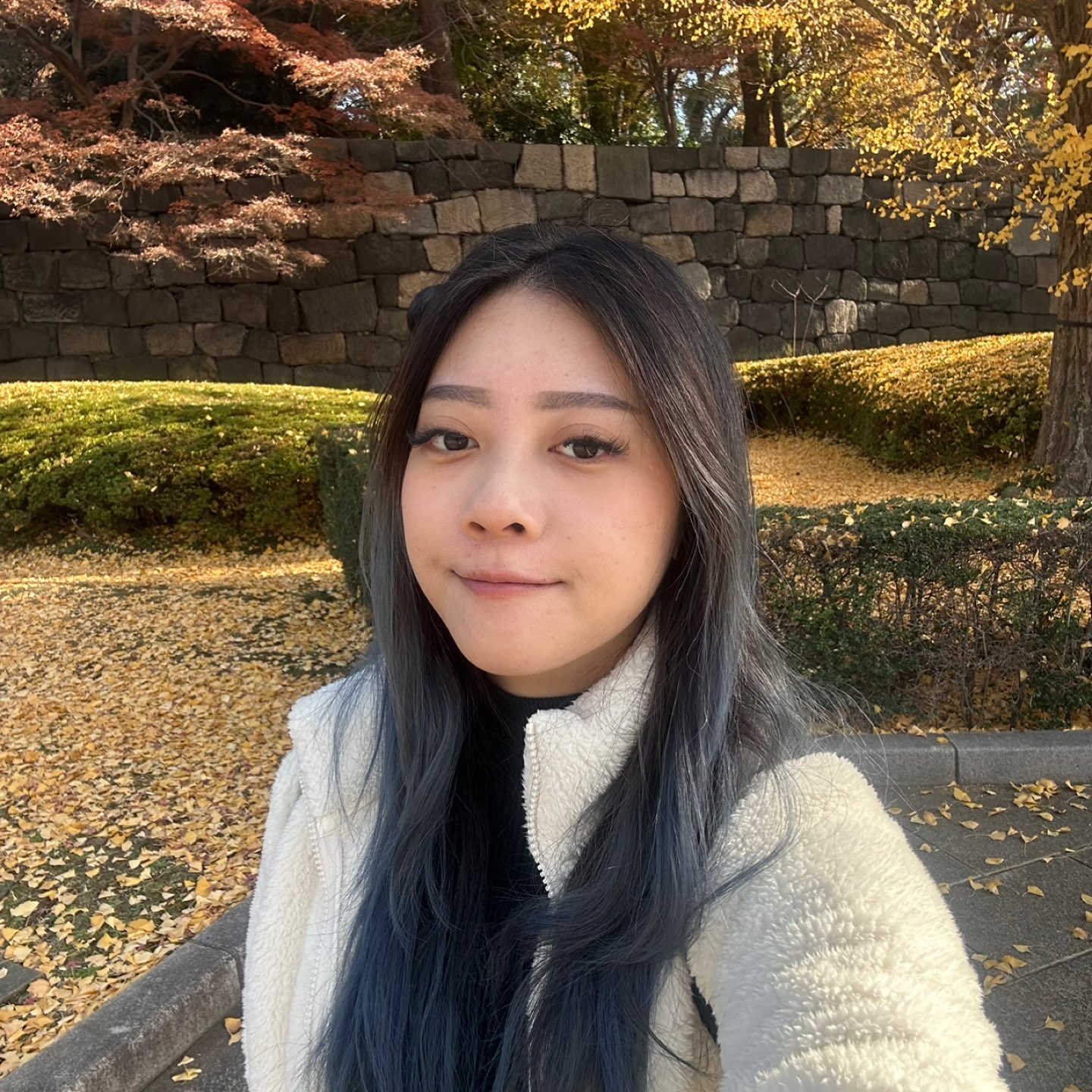 作者名称
