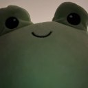 作者名称