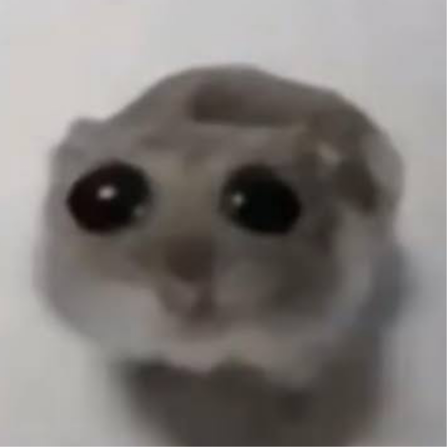 作者名称