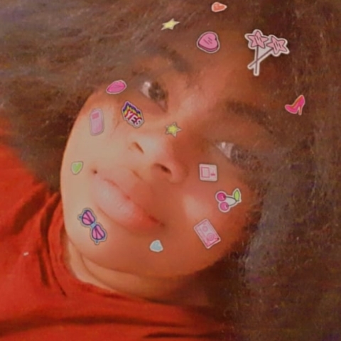 作者名称