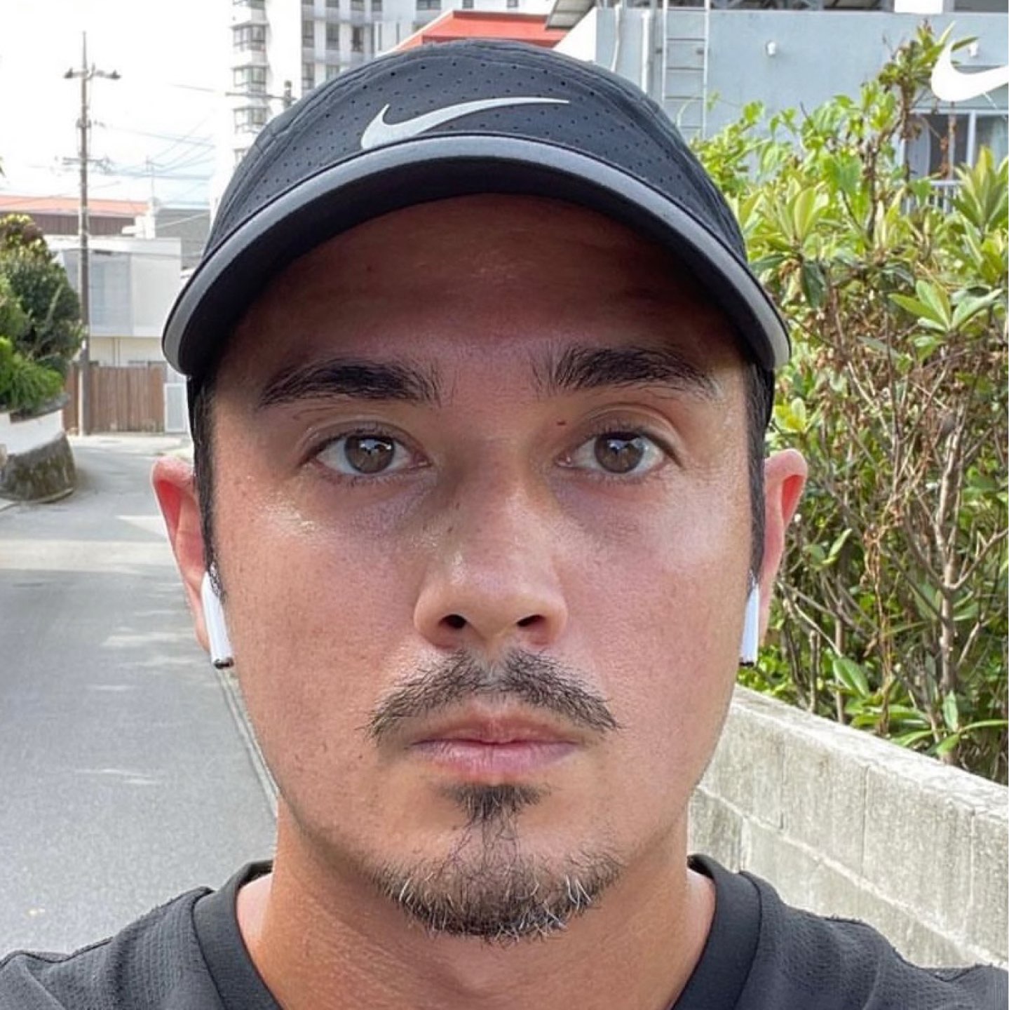 作者名称