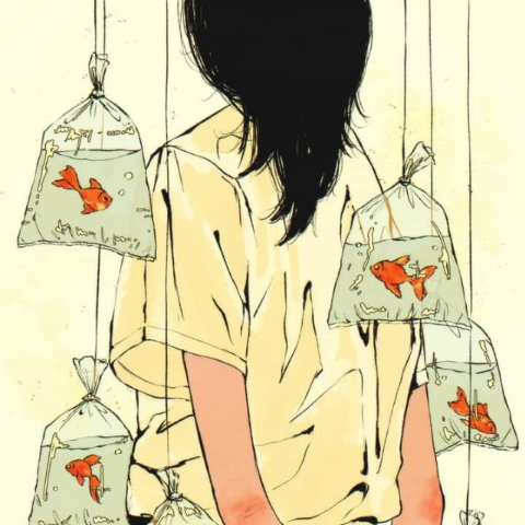 作者名称