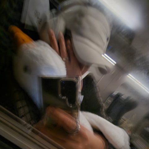 作者名称