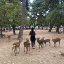 作者名称