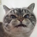 作者名称