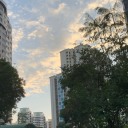 作者名称